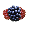 Brombeere Brombeeren Beeren Früchte