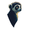 Lemur