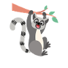 lemur