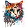 Popart colourful Cat