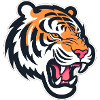Tete de tigre rugissant