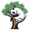 Panda dans un arbre