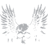 crâne avec ailes