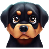 Friendly Rottweiler Face