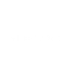 Bus Busfahrer