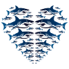 Shark Heart