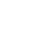 Ferret polecat