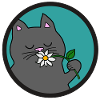 Gray Summer Cat
