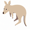 Känguru Australien Design