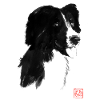 Black dog