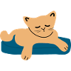 Bébé chat endormi3