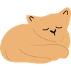 Bébé chat endormi2