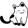 White kitten