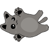 mignon bébé chat gris