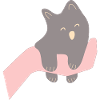 Baby cat in human hands2