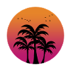 Palm trees Hawaii