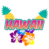 Hawaii Pineapple Flowers