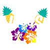 Jesus Hawaii