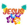 Jesus Hawaii