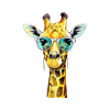 Meli the giraffe
