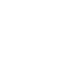 Irish Setter Jagdgebrauchshund Jagdhund Hunde