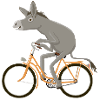 Drahtesel, orange