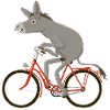 Bikes red