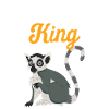 Lemur
