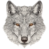 Illustrierter Wolfskopf