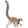Lemur