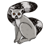 Lemur