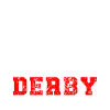 Roller derby