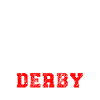 Roller derby