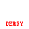 Roller derby
