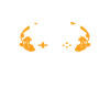 Pro Gamer