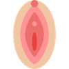 Vajayjay