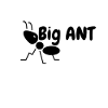 Big ANT logo
