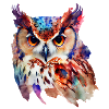 Eule Buntes Aquarell