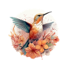 Hummingbird