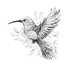 Hummingbird