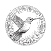 Hummingbird