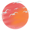 Sun and waterfowl 1