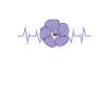 Purple Flower Flower Petal