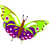 Mehrfarbige Schmetterlingsillustration