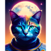 Moon, space cat