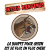 intrus bienvenus