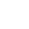 Bus Busfahrer