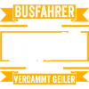 Bus Busfahrer