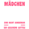 Bus Busfahrer