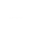 Bus Busfahrer